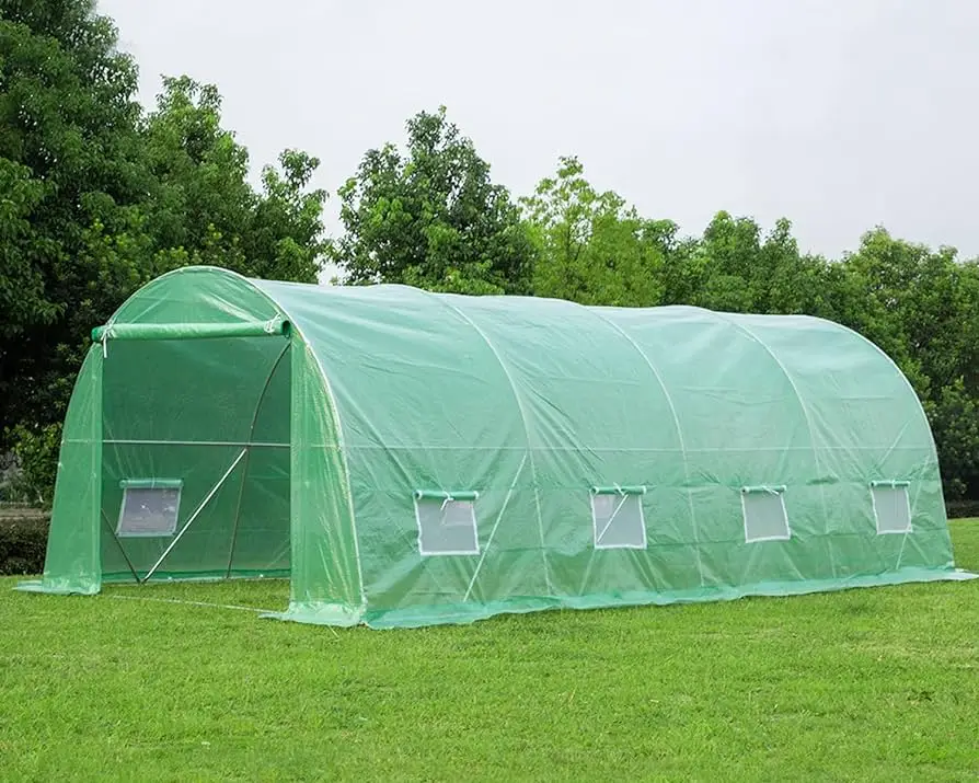 why we should grow green environment near house?