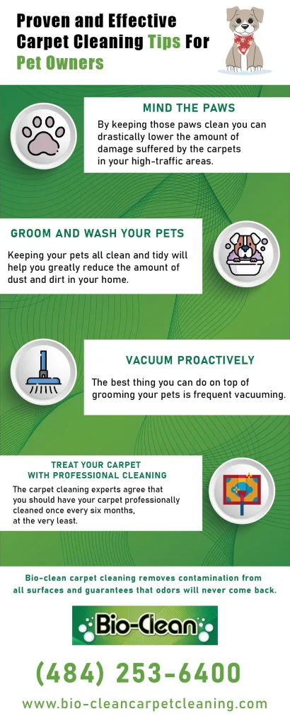Top 10 Cleaning Tips for Pet Owners?