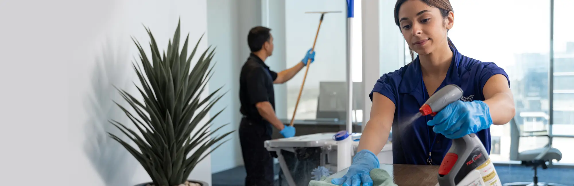 Beyond Dusting: Exploring the Depths of Cleanliness?