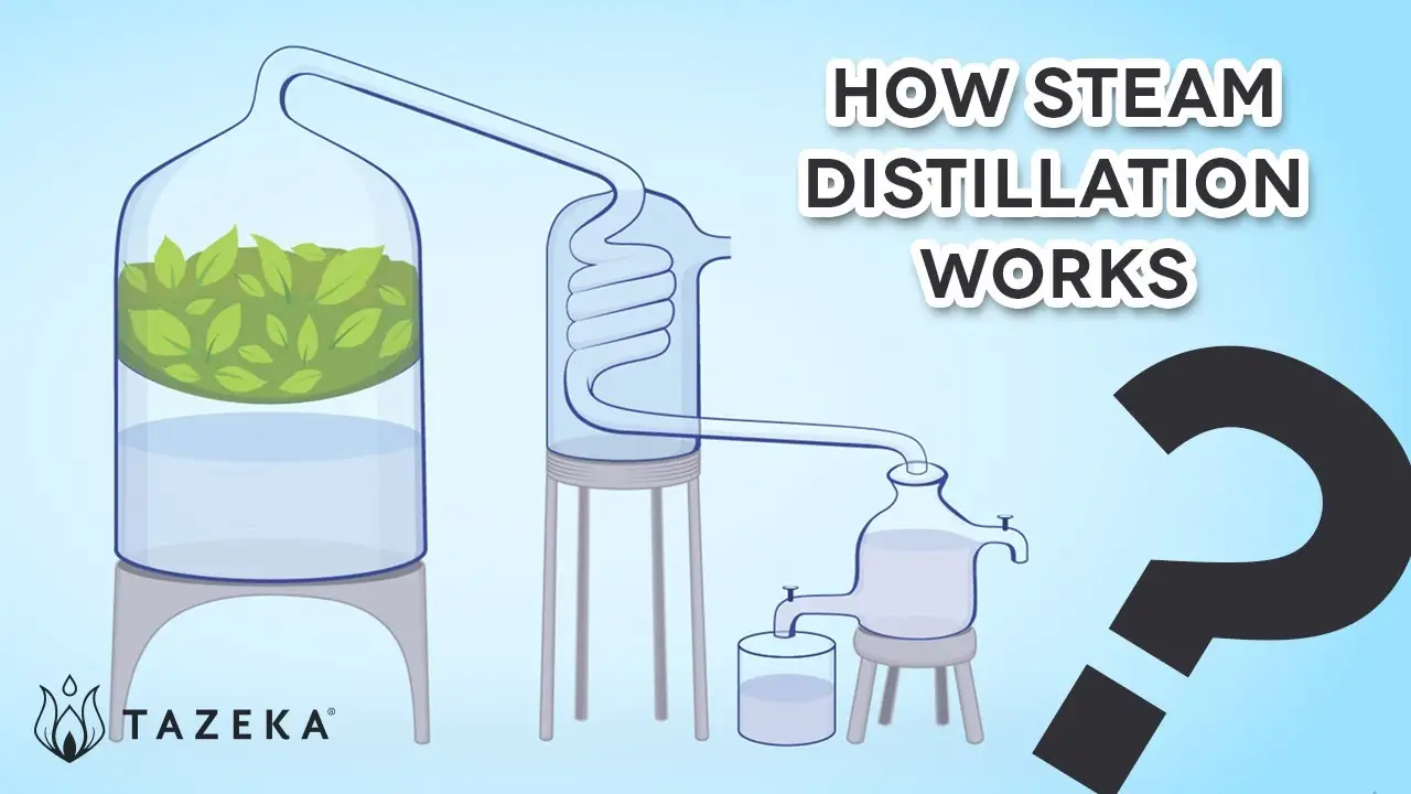 Howsteam Clean With Essential Oils?